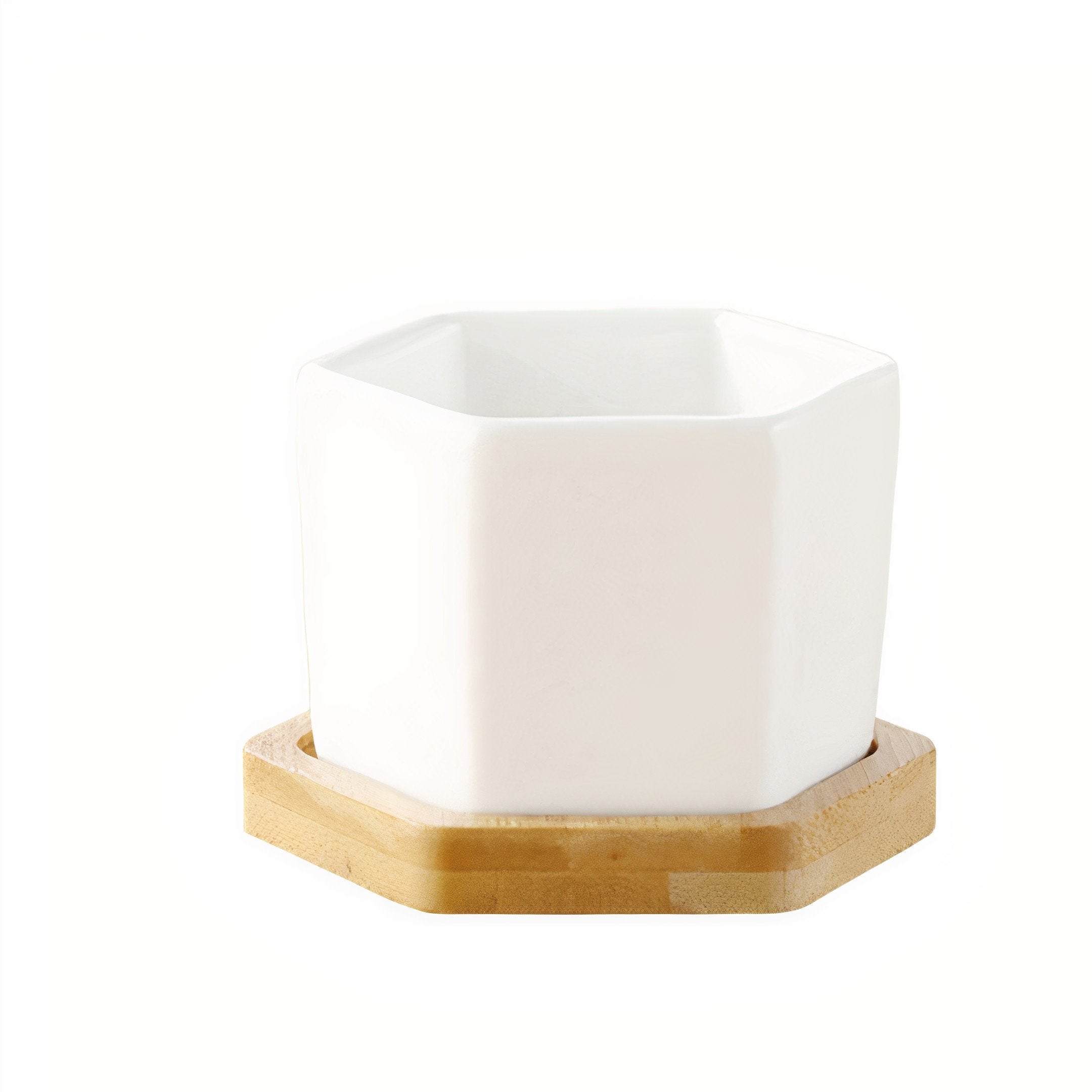 Message in a Planter - 6" Round